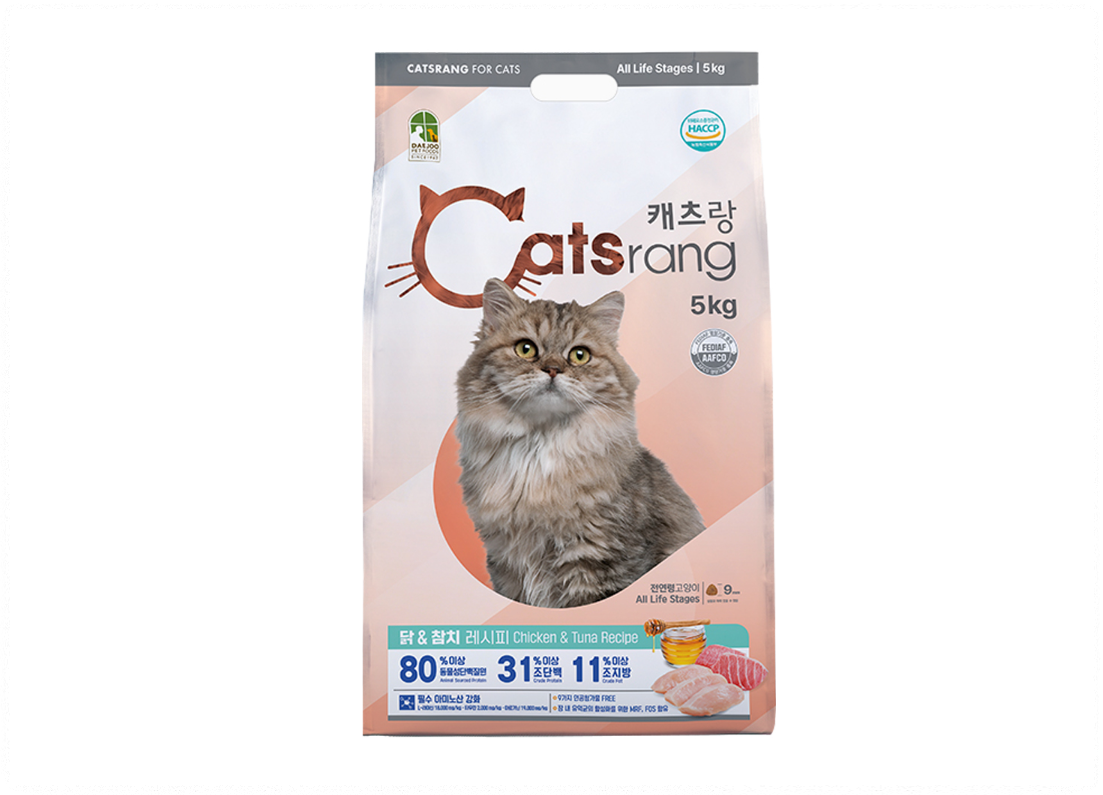 고양이 사료 추천 best 5