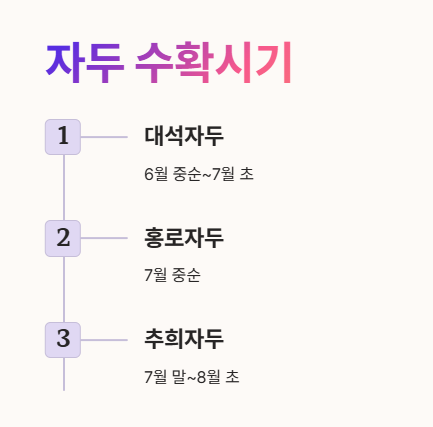 자두 수확시기