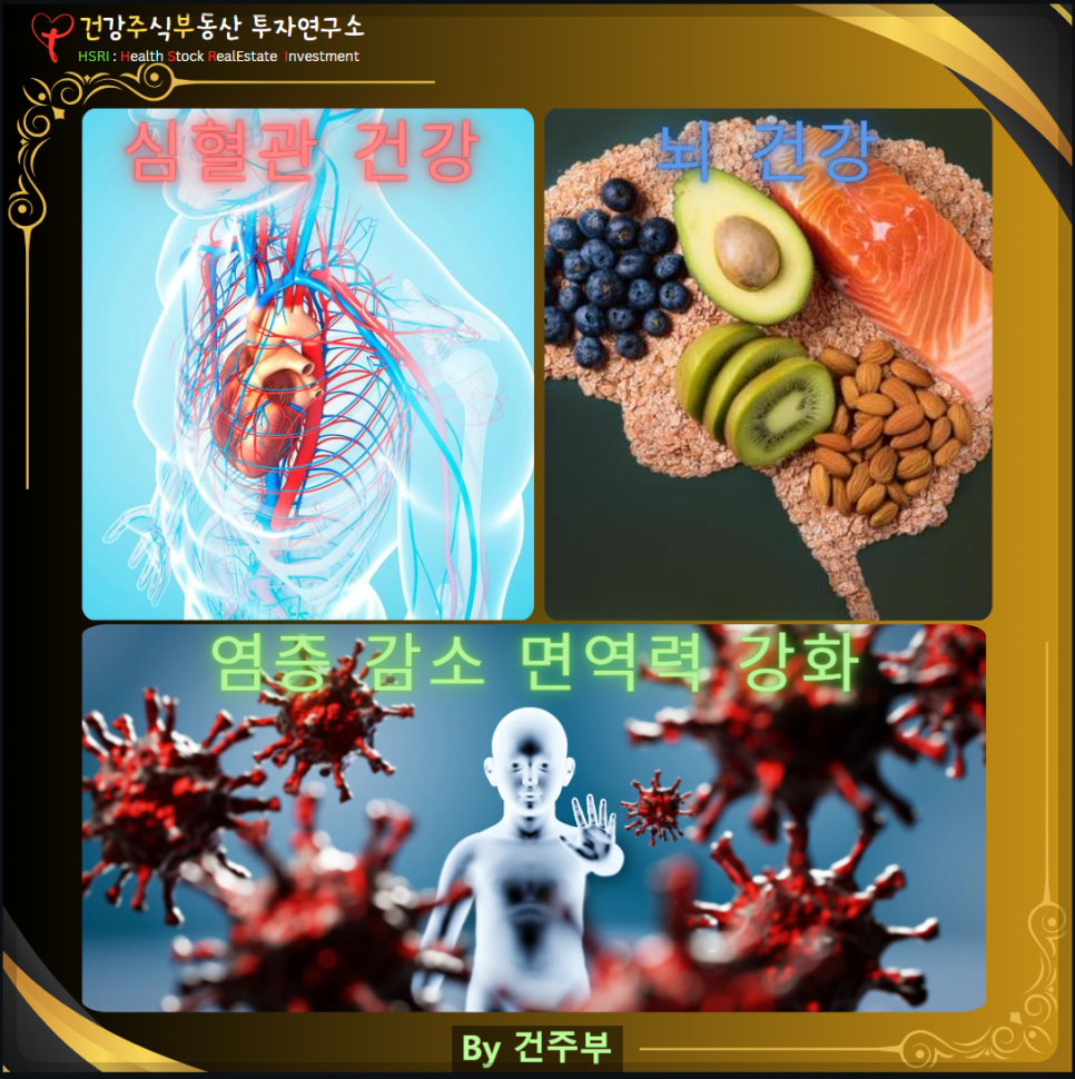 오메가3효과 심혈관 건강 뇌건강 염증 감소 면역력 강화