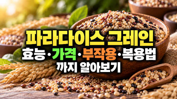 파라다이스 그레인 효능부터 가격, 부작용, 복용법 쉽게 알아보기(+파는곳, 추천,정품)