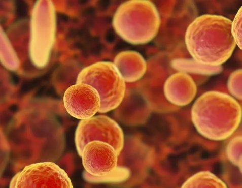 마이코플라스마-폐렴