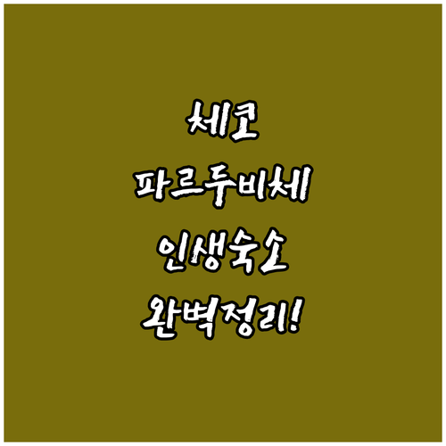 골프 스파부터 역세권 호텔까지 체코 ..