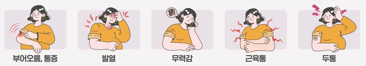 인플루엔자&bull;코로나19 예방접종 후 이상반응