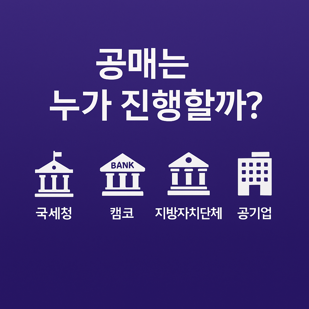 공매 주체별 주요 기관 인포그래픽. 국세청, 캠코, 지방자치단체, LH·공기업의 공매 역할을 간단히 요약한 이미지.