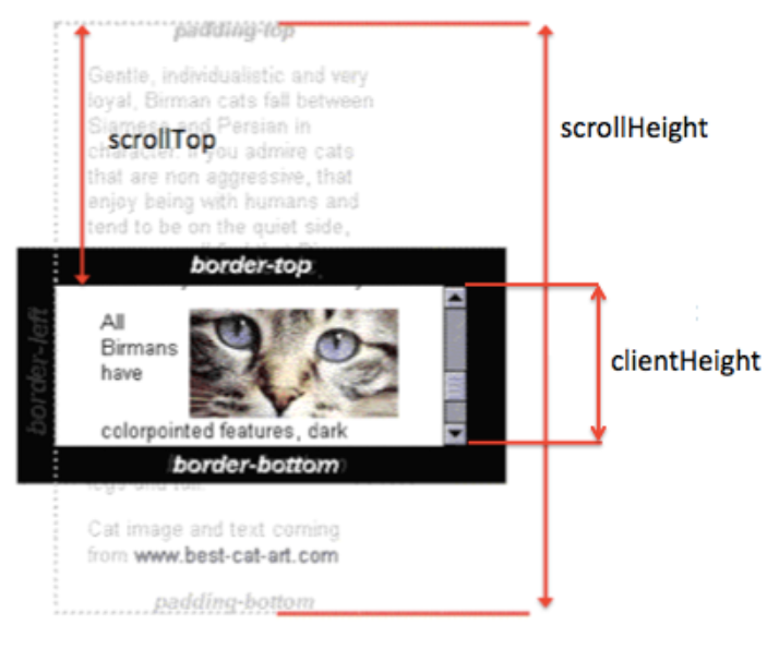 scrollTop,-scrollHeight-그리고-clientHeight의-관계-이해가-가장-중요합니다.