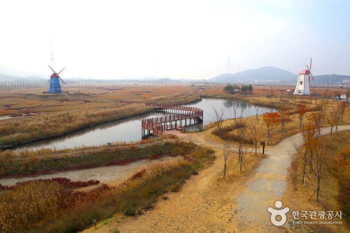 공원에 풍차와 호수와 산책길이 있다.