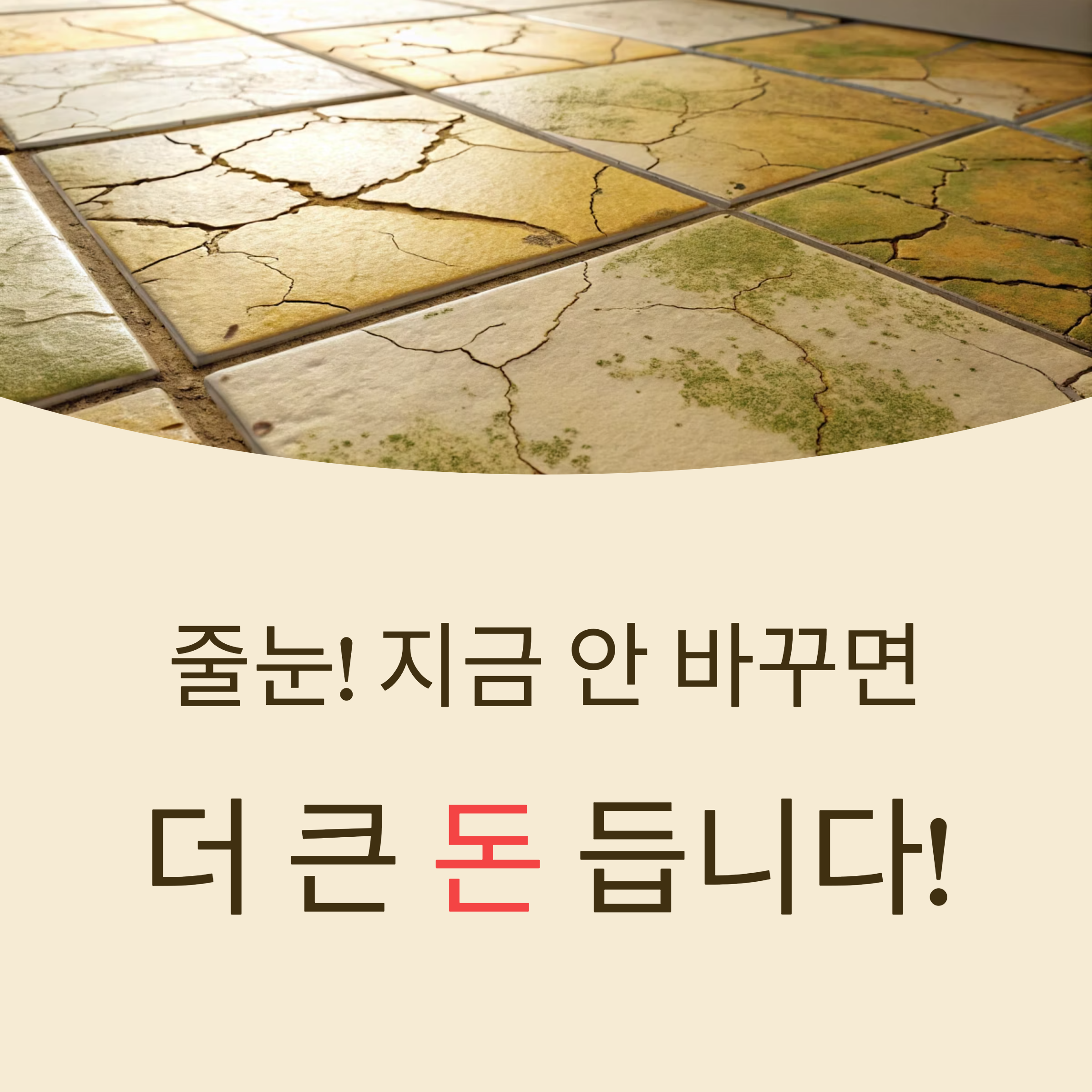 줄눈 재시공 시기 총정리|이런 증상이 보이면 늦기 전에!