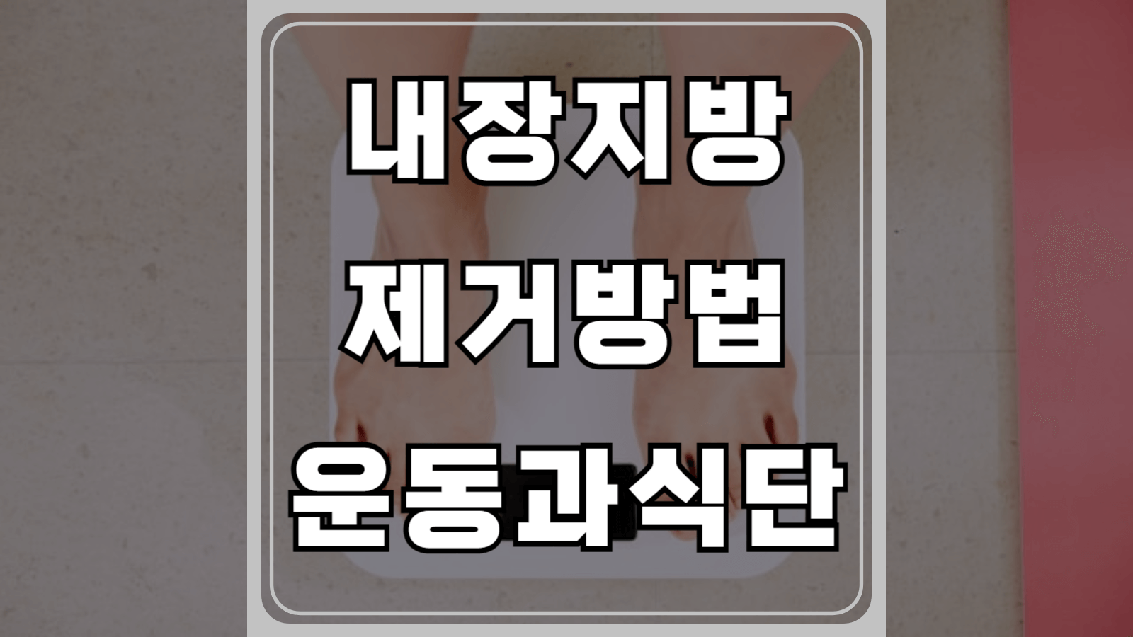 내장지방 제거방법 운동과 식단