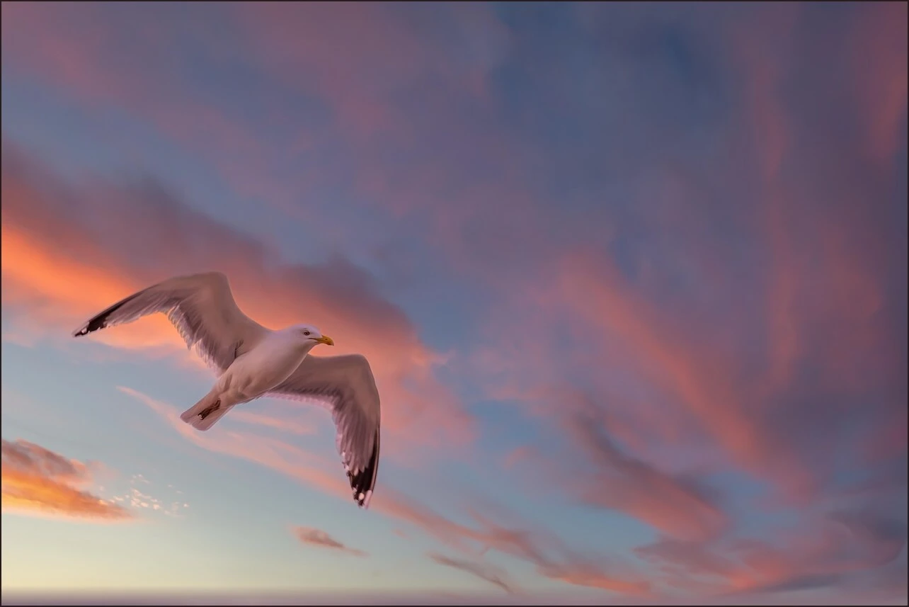 가족관계증명서 상세