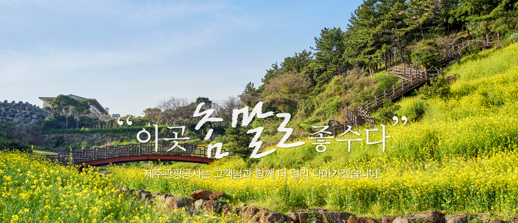 제주도 여행 할인받고 가기