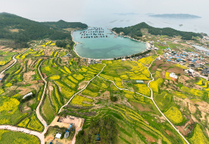 청산도 배시간표