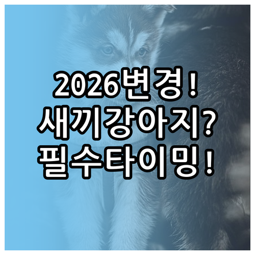 2026년 펫보험 변경사항과 새끼강아..