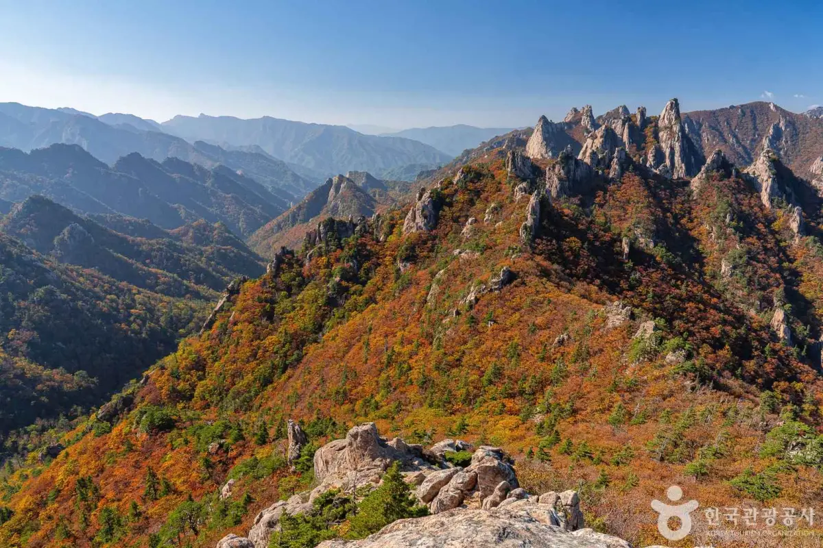 설악산 단풍