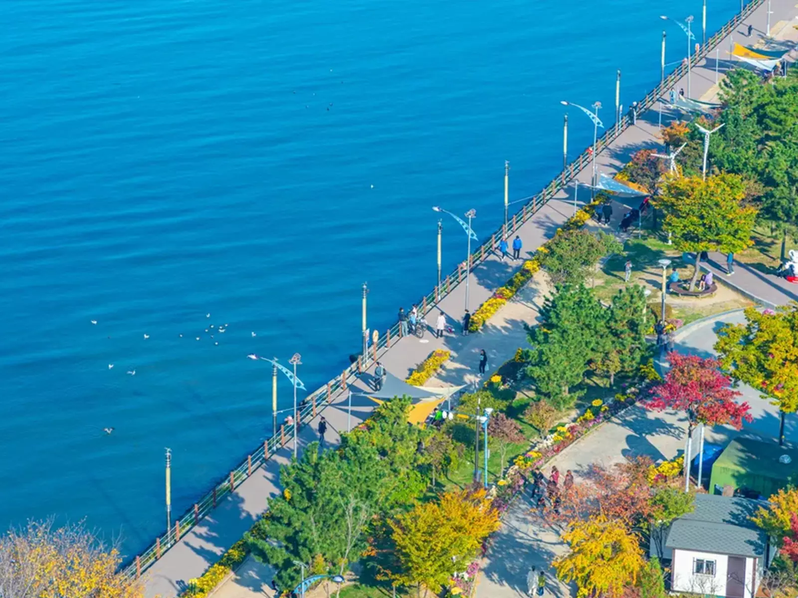 2024 강원도 속초 가볼만한곳 국내 당일치기 여행지 코스 추천