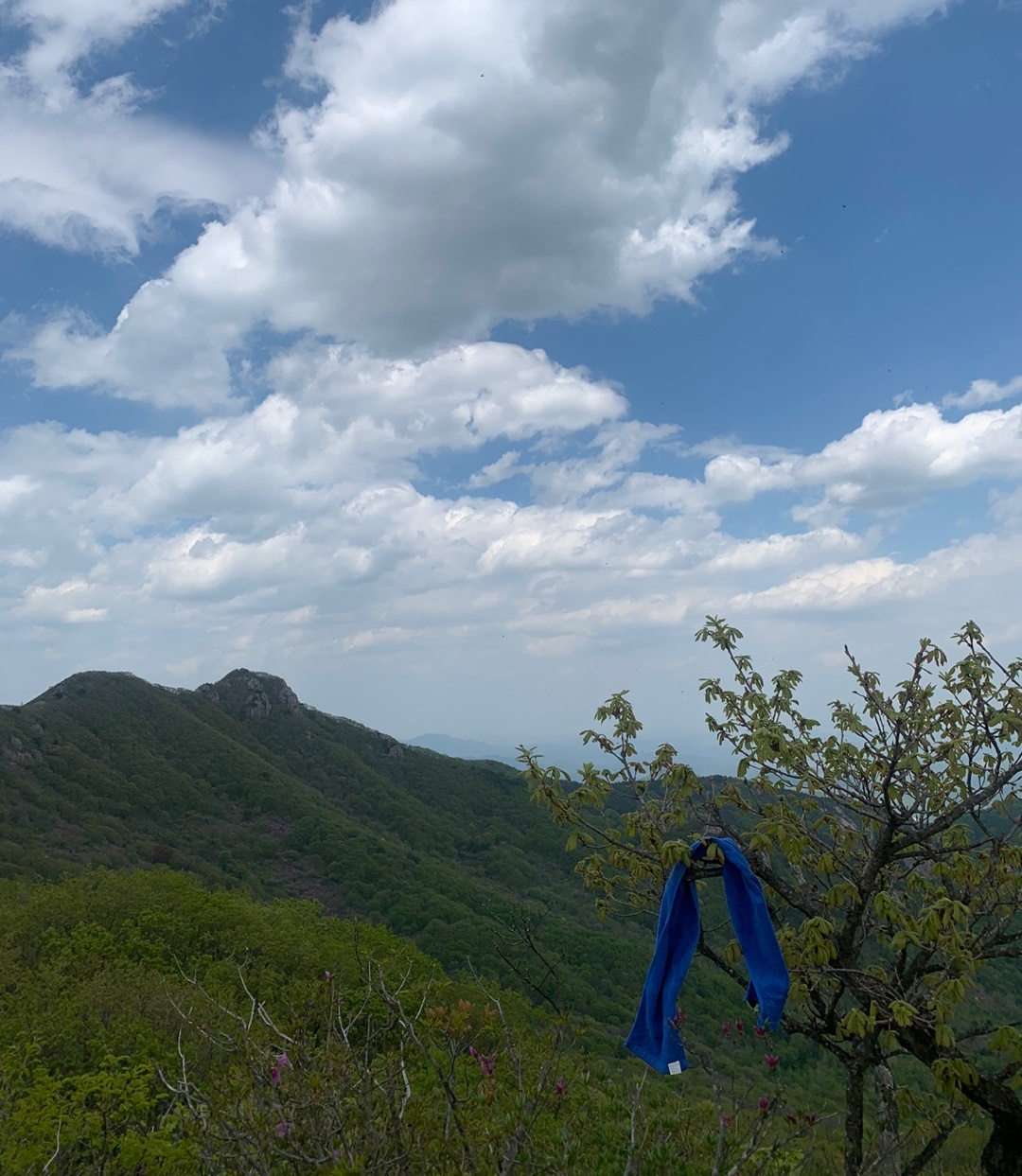 정상에 누군가가 걸어두고간 수건