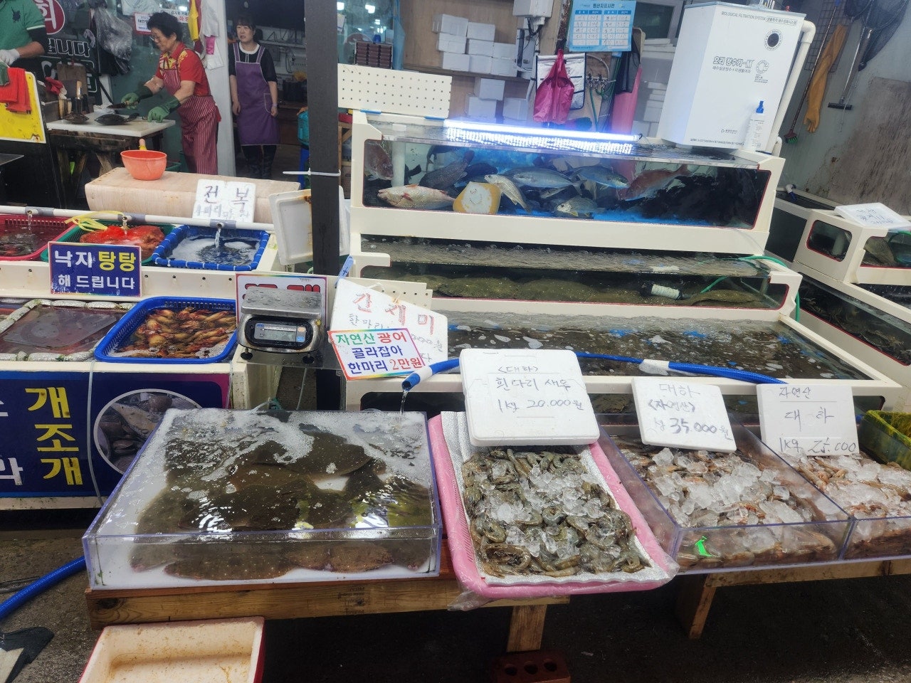 태안가볼만한곳