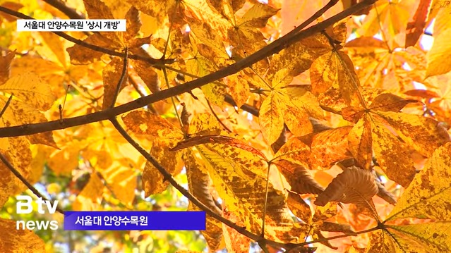 서울대 안양수목원(관악수목원) 개방 안내