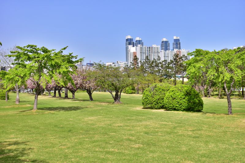 부산 겹벚꽃 명소 부산 유엔공원