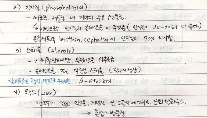 곤충의 영양 - 지질대사