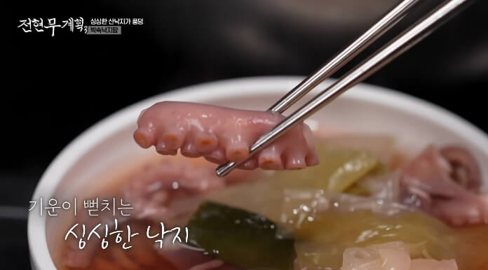 낙지