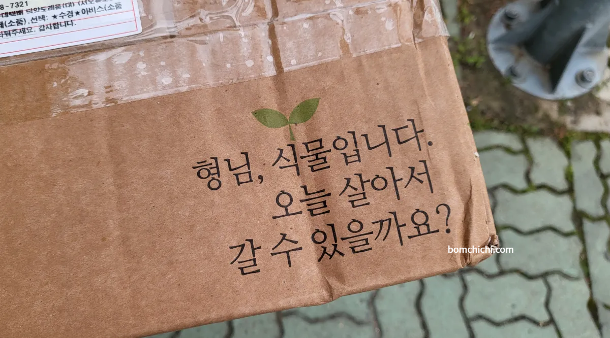갑조네 식물 택배 박스 사진 (박스에 적힌 문구 : 형님, 식물입니다. 오늘 살아서 갈 수 있을까요?)