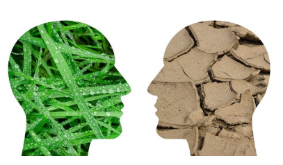 기후 변화와 환경 문제의 심각성