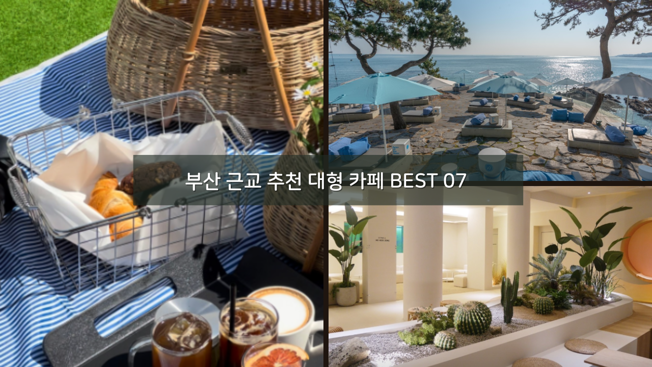 부산 근교 추천 대형 카페 BEST 07 갈만한곳
