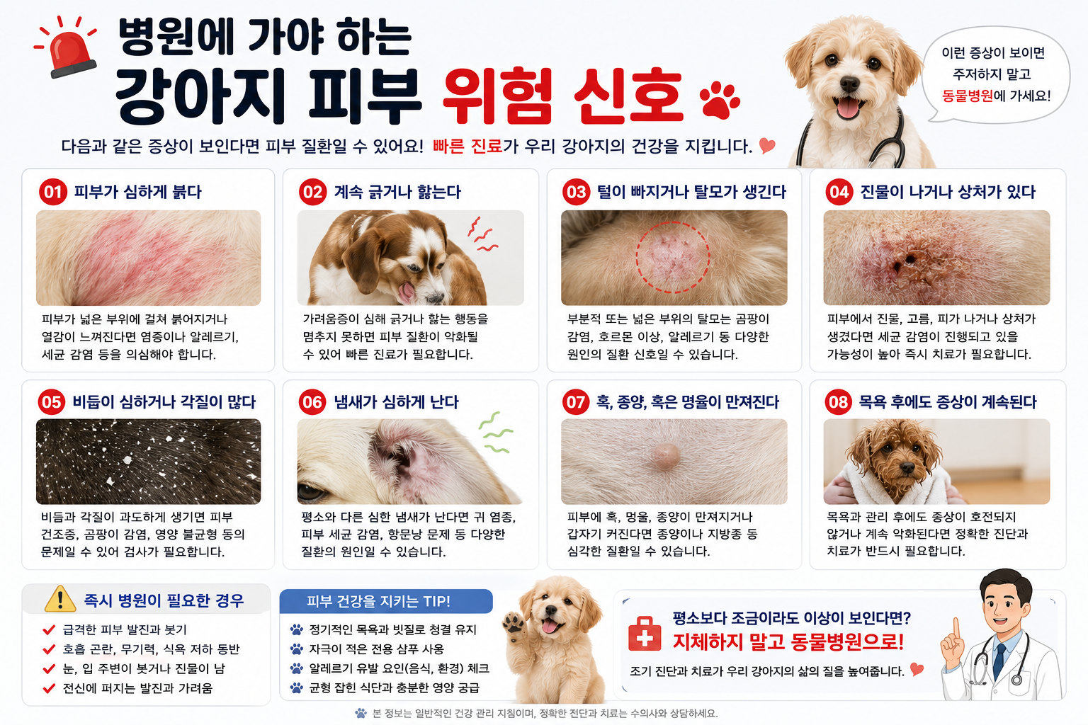 병원에 가야 하는 강아지 피부 위험 신호 이미지