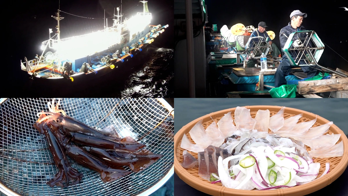 극한직업 동해안 오징어잡이와 분만실 24시
