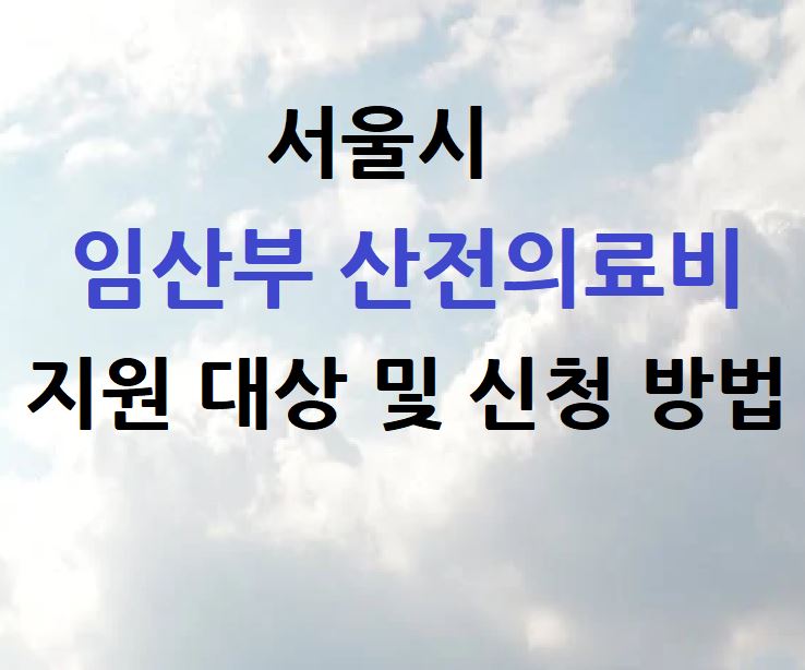 산전의료비 지원