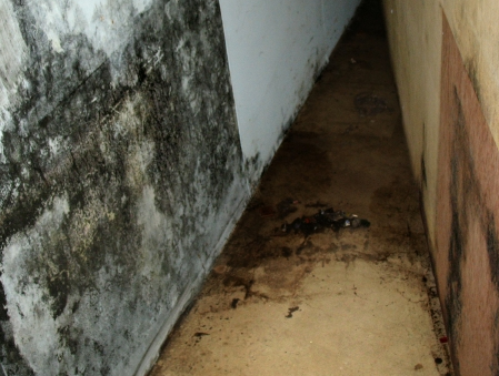 장마철&amp;#44; &amp;#39;그날&amp;#39;이 오기 전에 꼭 확인하세요! 침수&middot;곰팡이&middot;교통 지옥을 피하는 비밀 체크리스트