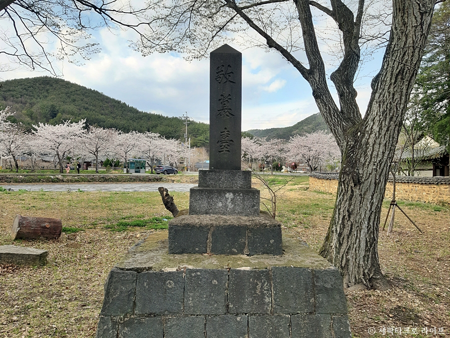 장산숲