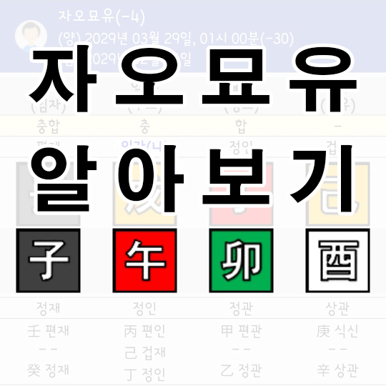 자오묘유 정점과 오행의 중심