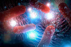 위축성-위염-원인