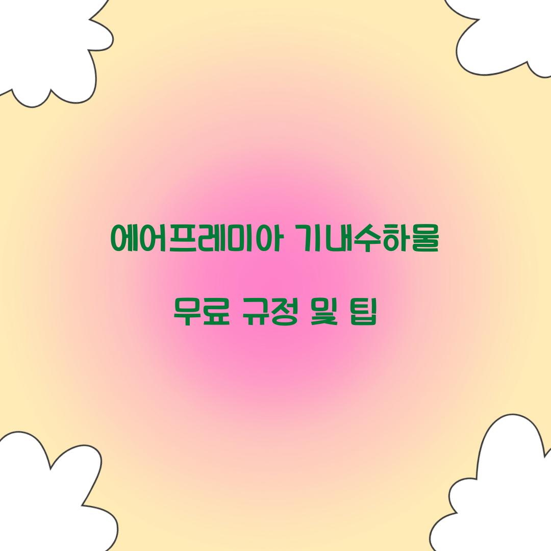 에어프레미아 기내수하물