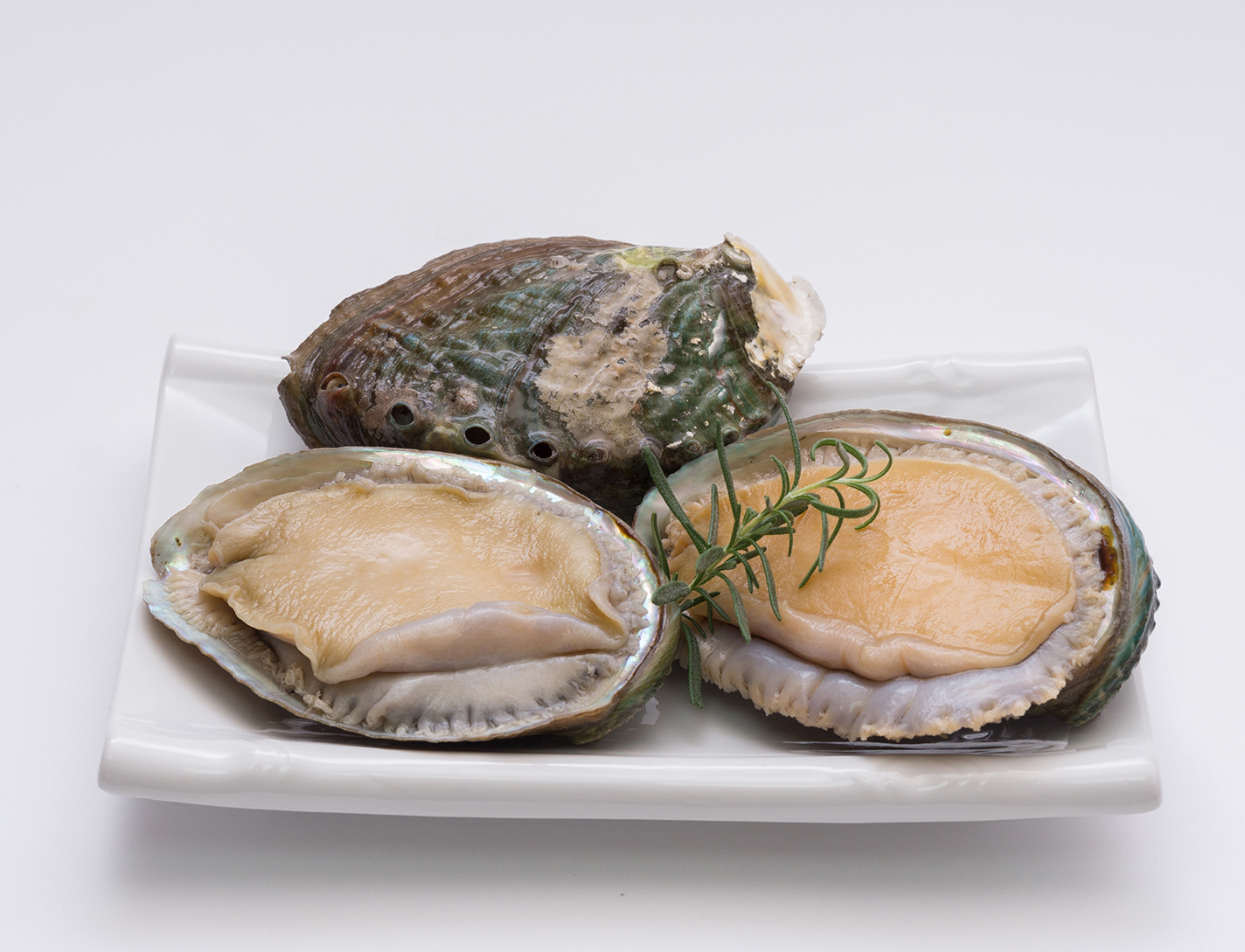 전복은 저칼로리 고단백 식품으로, 아미노산과 미네랄이 풍부하여 피로 회복과 면역력 강화에 좋은 수산물