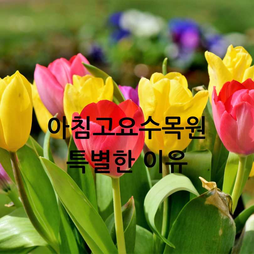 아침고요수목원 2025 봄꽃페스타