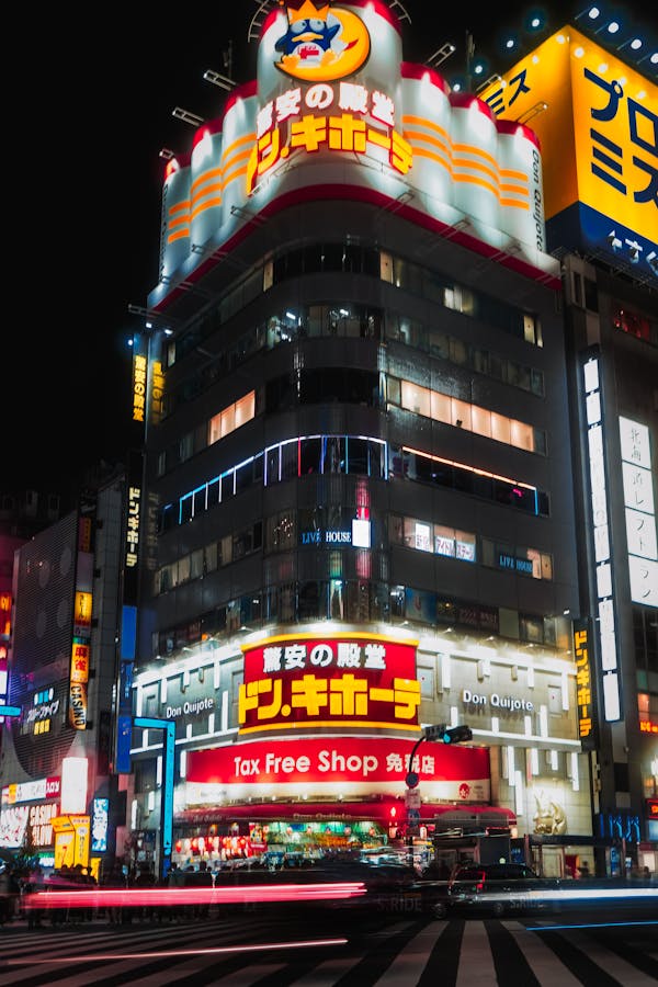 일본의 돈키호테