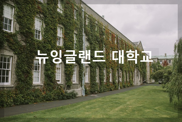 뉴잉글랜드 대학교 분석