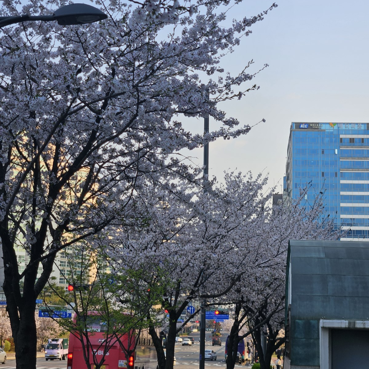 판교