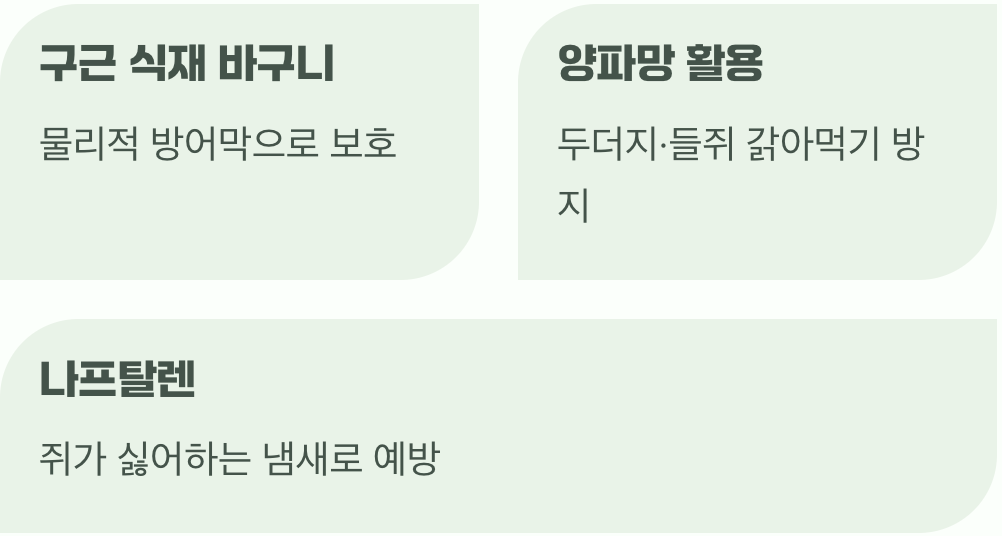 흙 속의 보물을 지켜라