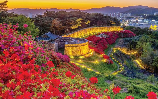 고창 1인 가구 생활비 상세 분석 — 조용한 도시의 현실적 비용 구조