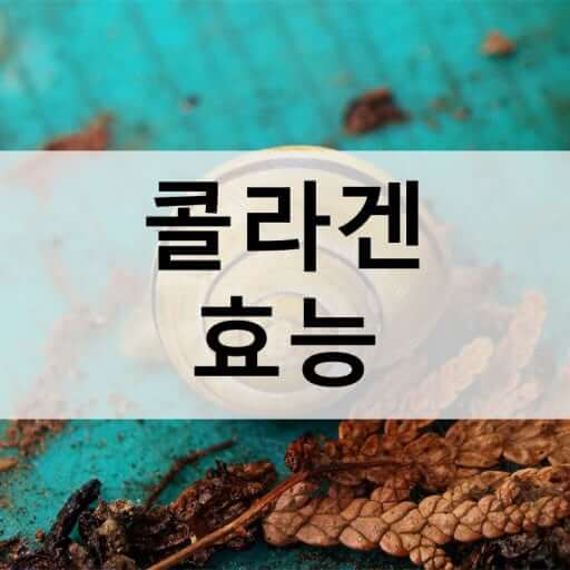 콜라겐이란?