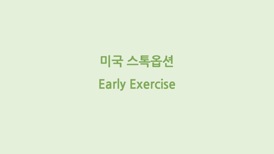 미국 스톡옵션 Early Exercise