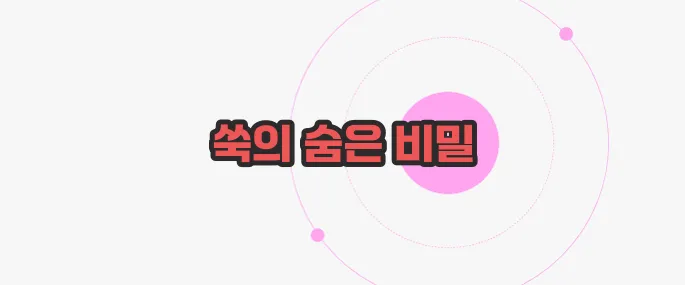 쑥 효능 지금부터 들여다보죠