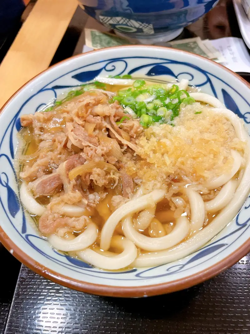 beef_udon