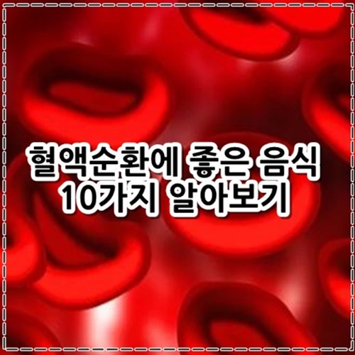혈액순환에 좋은 음식 10가지 정리