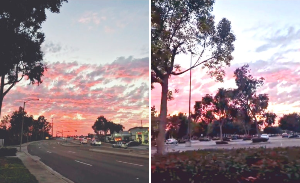 #산타모니카비치