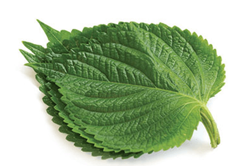 깻잎