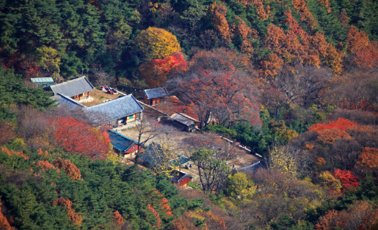 모악산 등산코스